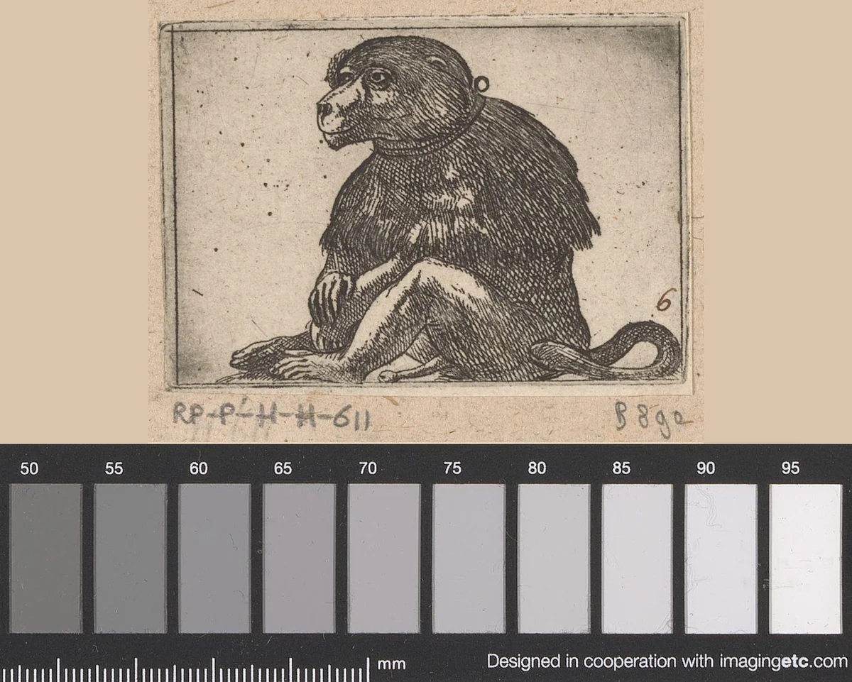 Zittende aap by Antonio Tempesta, print, 1565-1630