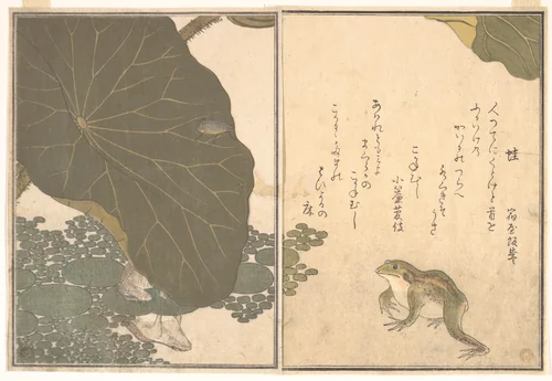 Frog (Kaeru); Gold Beetle (Kogane mushi), from the Picture Book of Crawling Creatures (Ehon mushi erami) by Kitagawa Utamaro (喜多川歌麿), print, 1788