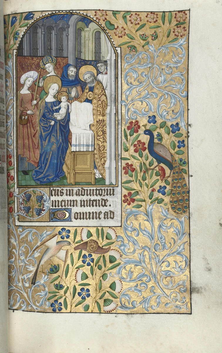 Book of Hours (Use of Rouen): fol. 67r, Opening of None, Presentation of the Christ Child in the Temple by Master of the Geneva Latini, book, 1465-1475