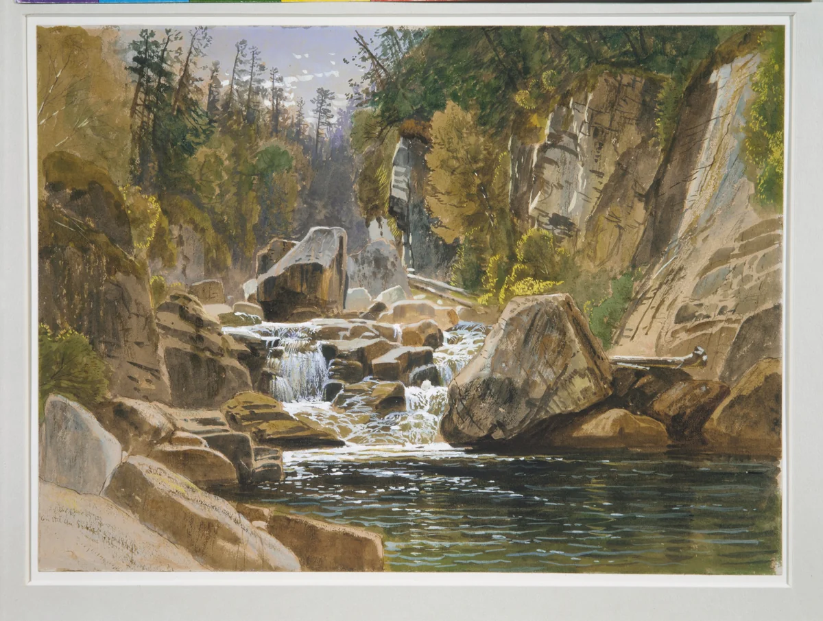 On the Ausable by James David Smillie, artwork, 1869