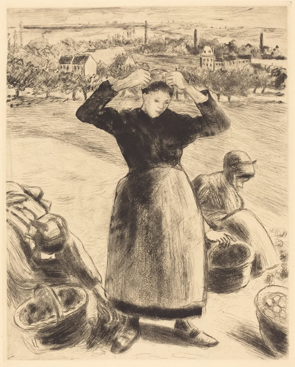 Gathering Potatoes (Recolte de pommes de terre) by Camille Pissarro, print, 1886
