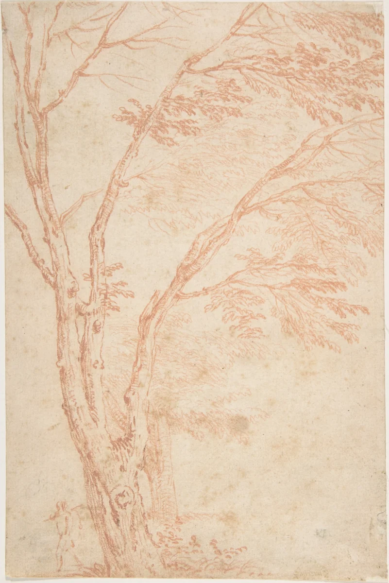A tree and figure by anonymous, drawing, 1700-1799