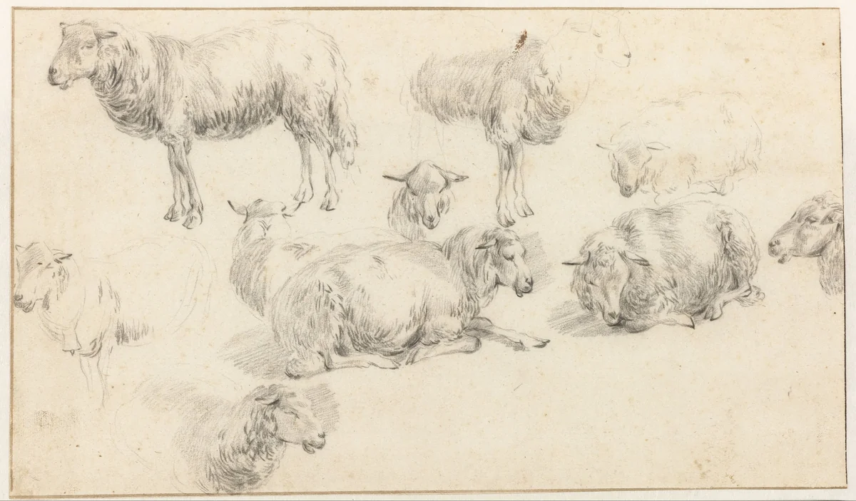 Studieblad met staande en liggende schapen by Nicolaes Pietersz Berchem, drawing, 1650-1656