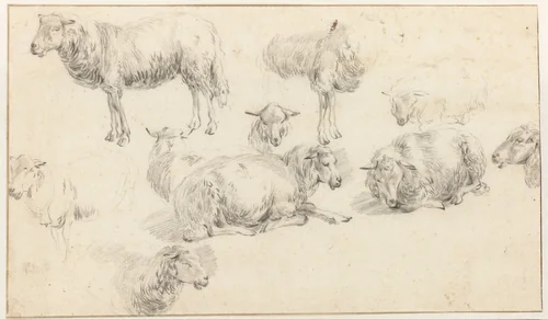 Studieblad met staande en liggende schapen by Nicolaes Pietersz Berchem, drawing, 1650-1656