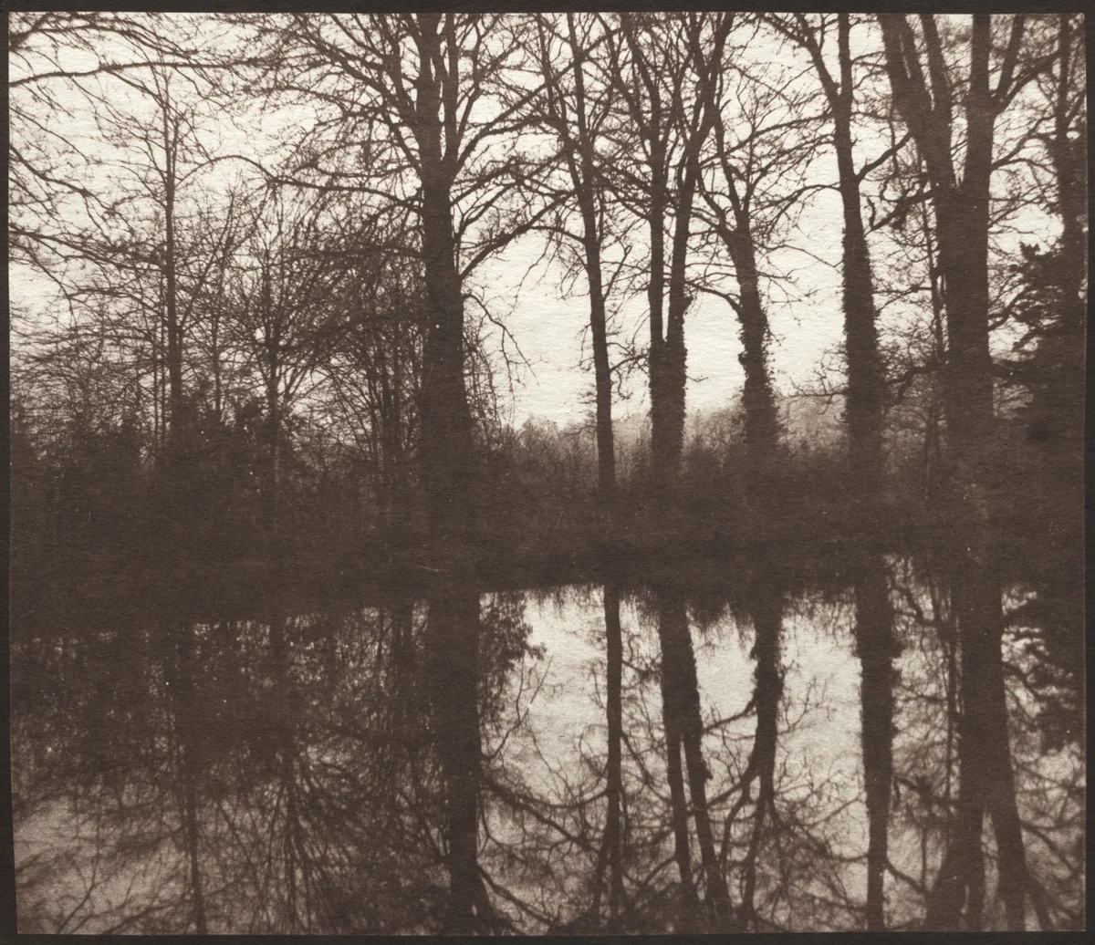 Winter Trees Reflected in a Pond by William Henry Fox Talbot, photograph, 1841-1842