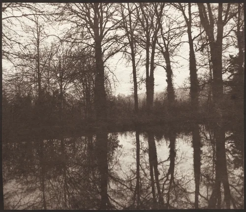 Winter Trees Reflected in a Pond by William Henry Fox Talbot, photograph, 1841-1842