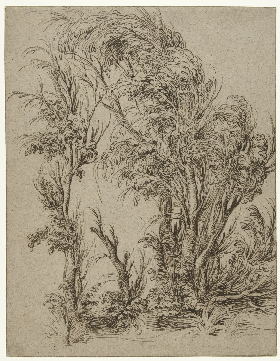 Bomen in de wind by Jacques de Gheyn, drawing, 1598-1608