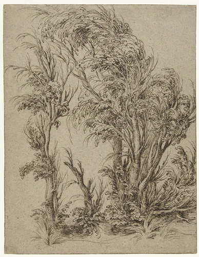Bomen in de wind by Jacques de Gheyn, drawing, 1598-1608