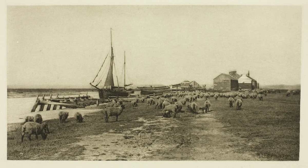 Blackshore, River Blythe (Suffolk) by Peter Henry Emerson, print, 1883-1887