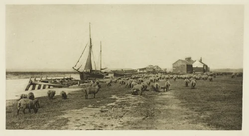 Blackshore, River Blythe (Suffolk) by Peter Henry Emerson, print, 1883-1887