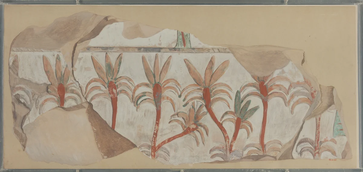 Palm Trees in a Garden, Tomb of Puyemre by Norman de Garis Davies, artwork, -1473--1458