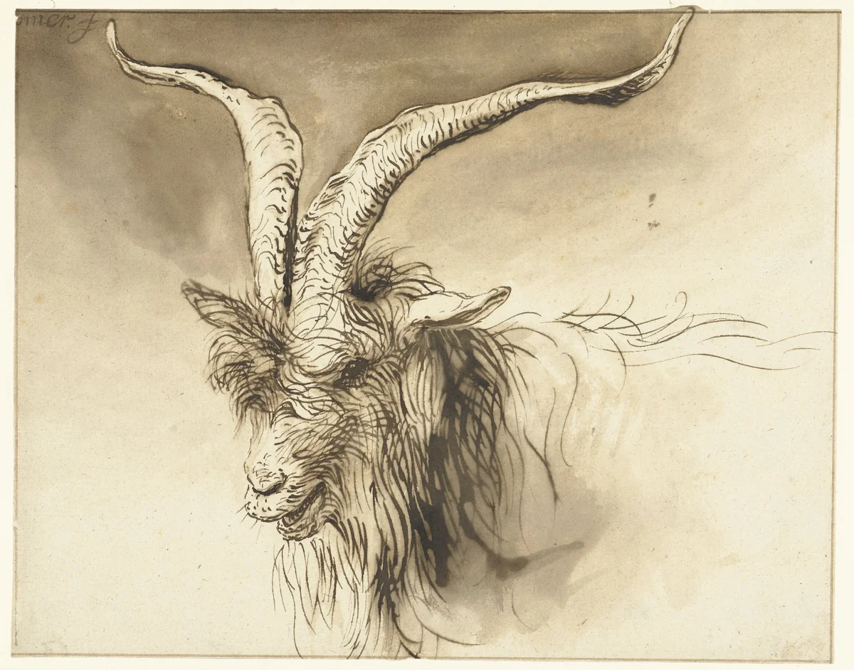 Head of a Dutch Landrace Goat by Lambert Doomer, drawing, 1655-1665