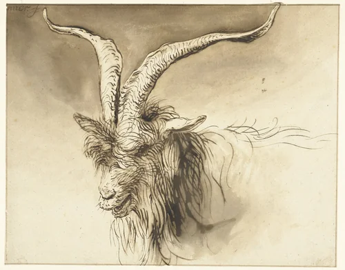 Head of a Dutch Landrace Goat by Lambert Doomer, drawing, 1655-1665
