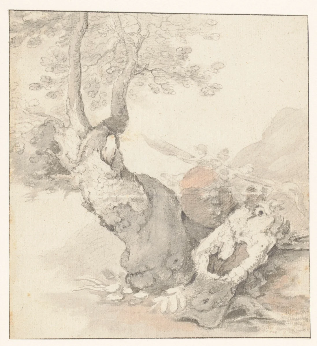 Knoestige boomstronk by Paulus Willemsz. van Vianen, drawing, 1605-1613