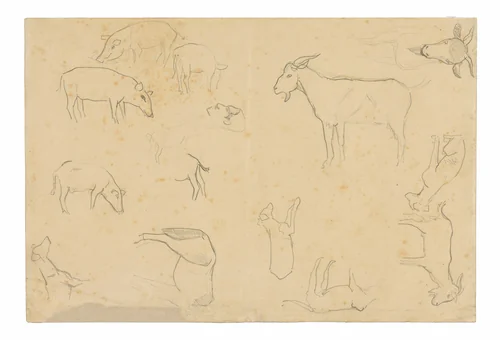 Sketches of Various Animals and Head (recto), Sketches of a Head, Figure in Profile, Anatomical Details, and Animals (verso) by Paul Gauguin, drawing, 1891-1893