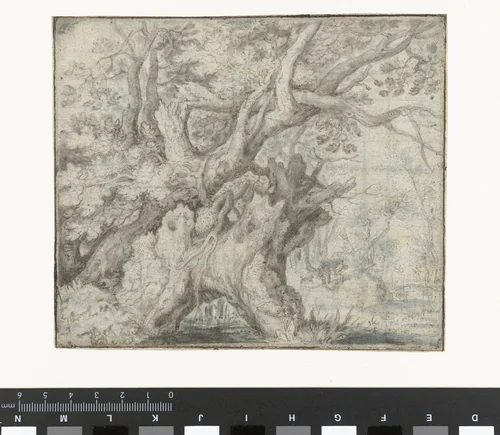 Gnarled Trees near the Water by Roelant Savery, drawing, 1605-1610