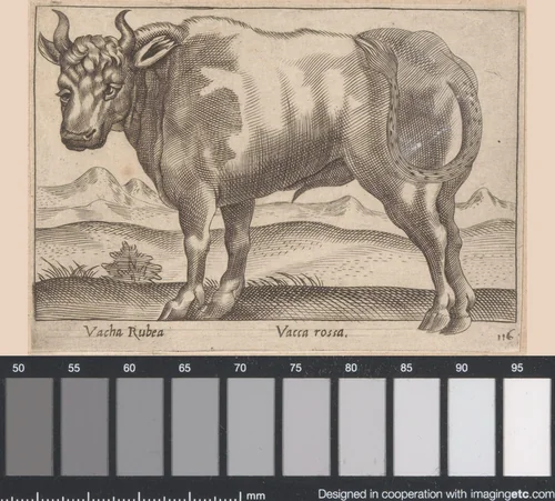 Rode vaars by Antonio Tempesta, print, 1565-1630