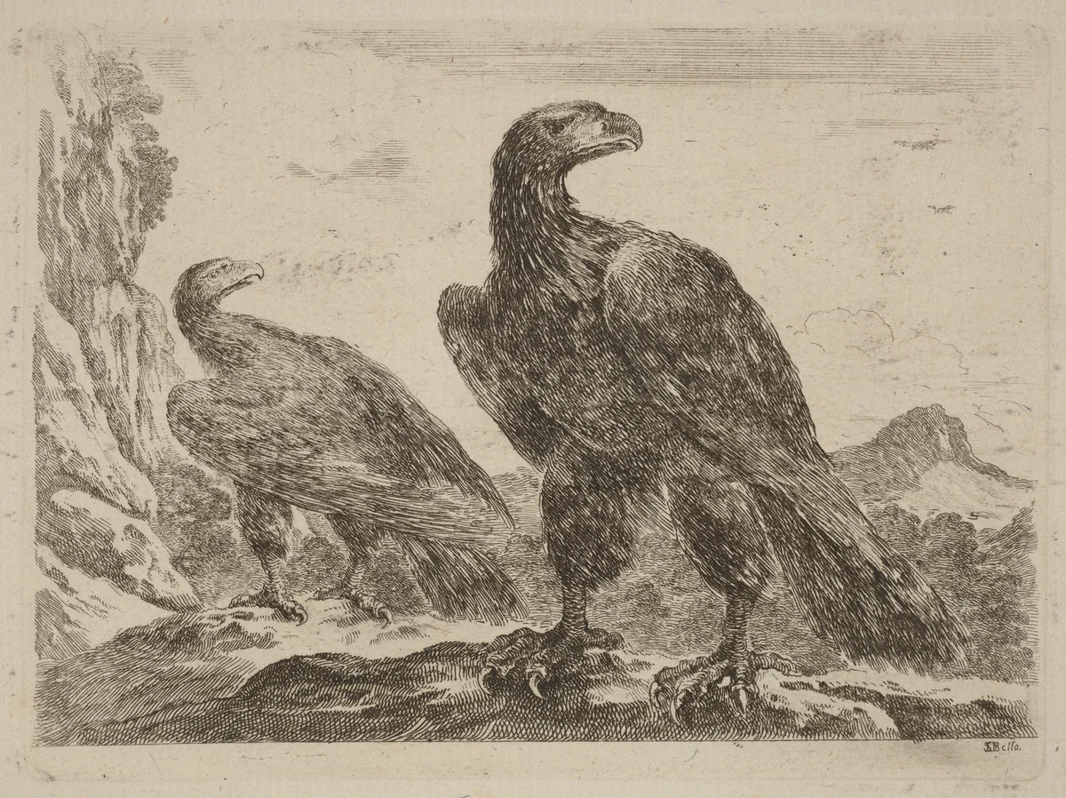 Two Eagles, Both with Heads Turned to the Right by Stefano della Bella, print, 1610-1664