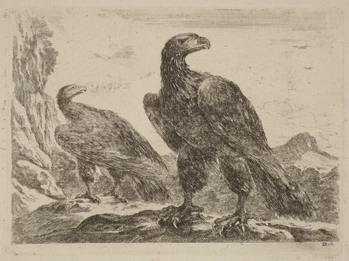 Two Eagles, Both with Heads Turned to the Right by Stefano della Bella, print, 1610-1664