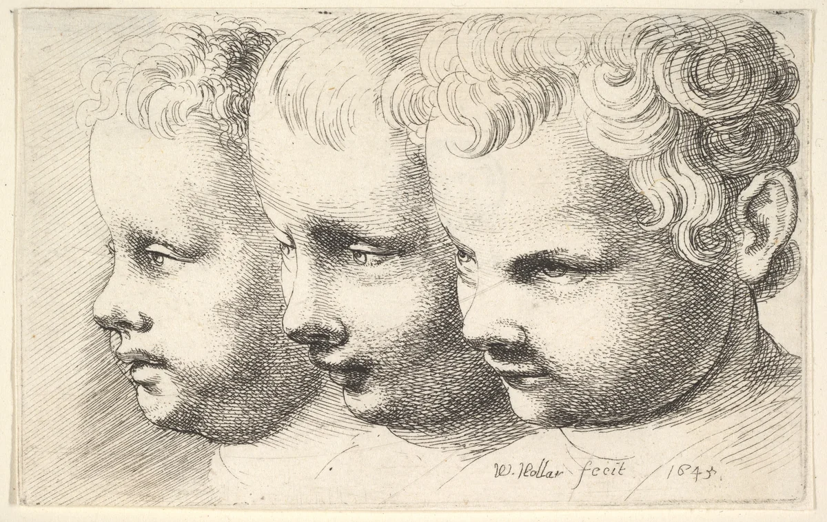 Three children's heads by Wenceslaus Hollar, print, 1645