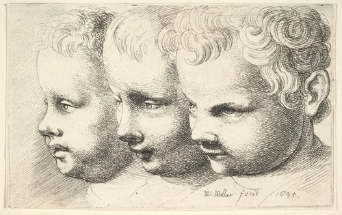 Three children's heads by Wenceslaus Hollar, print, 1645