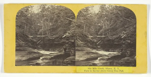 Six Mile Creek, Ithaca, N.Y. View in Ravine above Green Tree Fall by J. C. Burritt, photograph, 1860-1865
