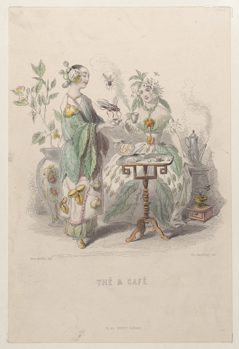 Thé & Café, from "Les Fleurs Animées" by J. J. Grandville, print, 1847