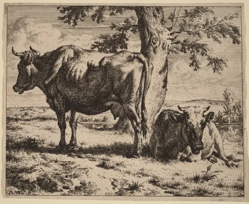 Two Cows under a Tree by Adriaen van de Velde, print, 1670