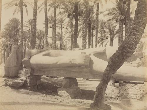 Statue of Ramesses at Saqqara by Antonio Beato, photograph, 1870-1889
