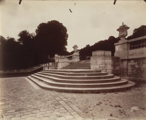 Saint-Cloud by Eugène Atget, photograph, 1904