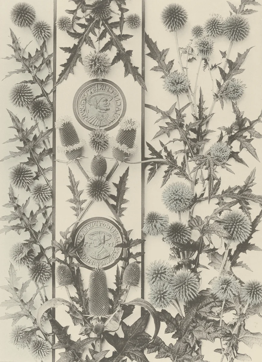 Page from Festons und Dekorative Gruppen by Unidentified Photographer, photograph, 1893