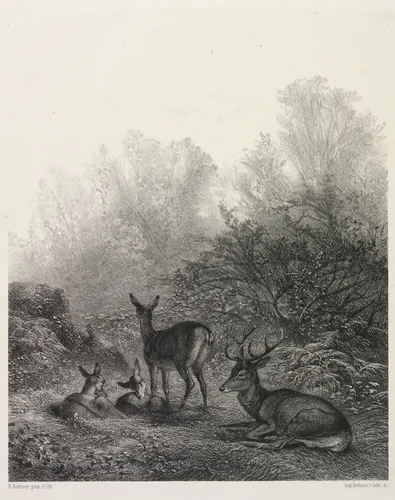 Deer at Rest by Karl Bodmer, print, 1855-1865