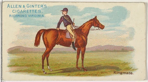 Kingmate, from The World's Racers series (N32) for Allen & Ginter Cigarettes by Allen & Ginter, print, 1888