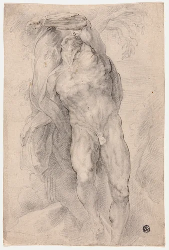 Male Nude Tied to Tree by Peter Paul Rubens, drawing, 1615-1625