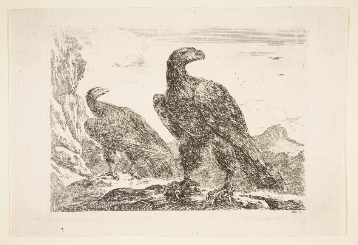 Two eagles, from 'Eagles' (Les aigles) by Stefano della Bella, print, 1646-1656