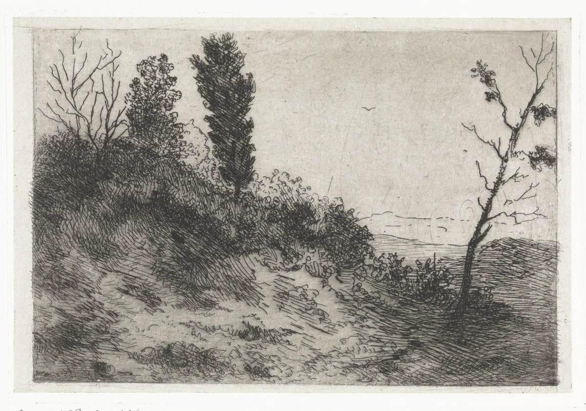 Duinlandschap by Arnoud Schaepkens, print, 1831-1888
