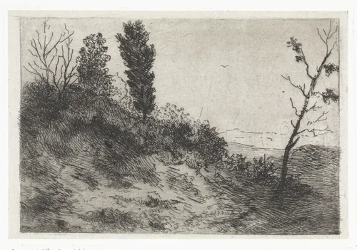 Duinlandschap by Arnoud Schaepkens, print, 1831-1888