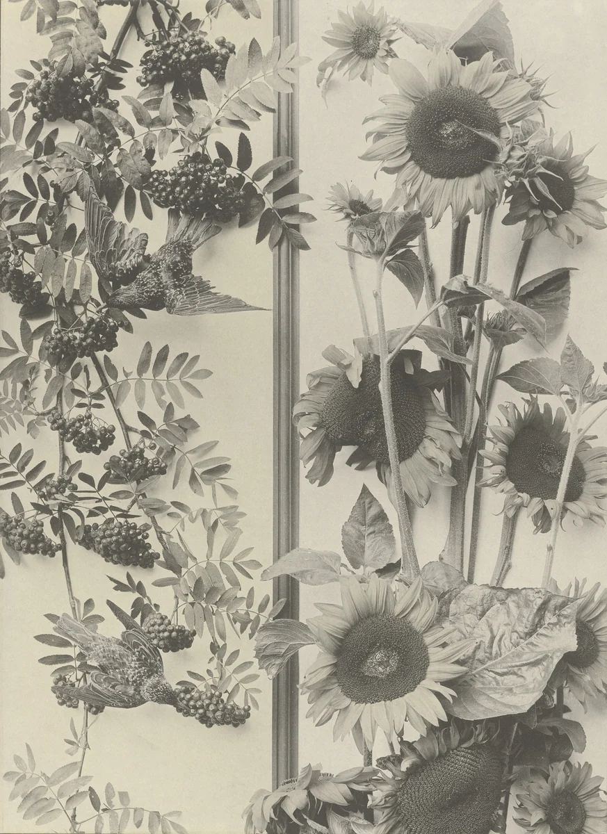 Page from Festons und Dekorative Gruppen by Unidentified Photographer, photograph, 1893