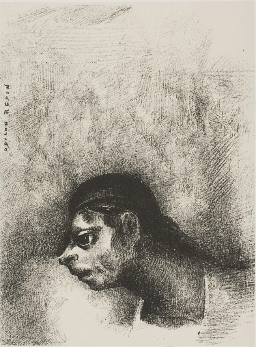 Through the Crack in the Wall, a Death's Head Was Projected, from The Juror by Odilon Redon, print, 1887