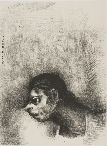 Through the Crack in the Wall, a Death's Head Was Projected, from The Juror by Odilon Redon, print, 1887