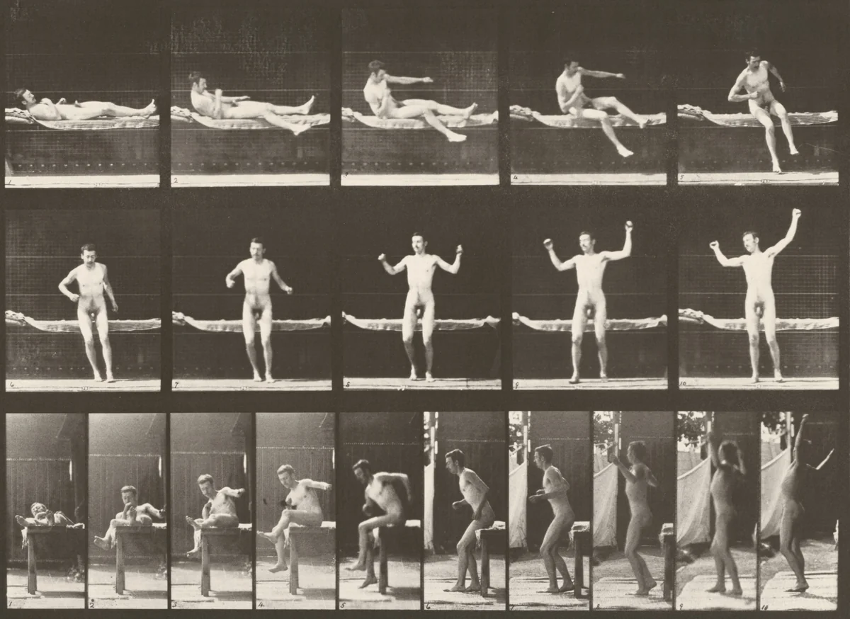 Plate Number 260. Arising from couch and stretching arms by Eadweard Muybridge, photograph, 1887
