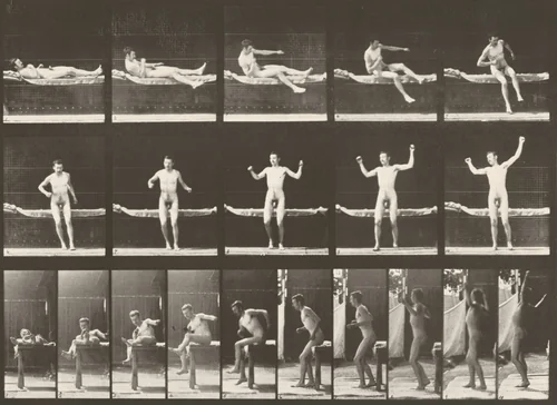 Plate Number 260. Arising from couch and stretching arms by Eadweard Muybridge, photograph, 1887