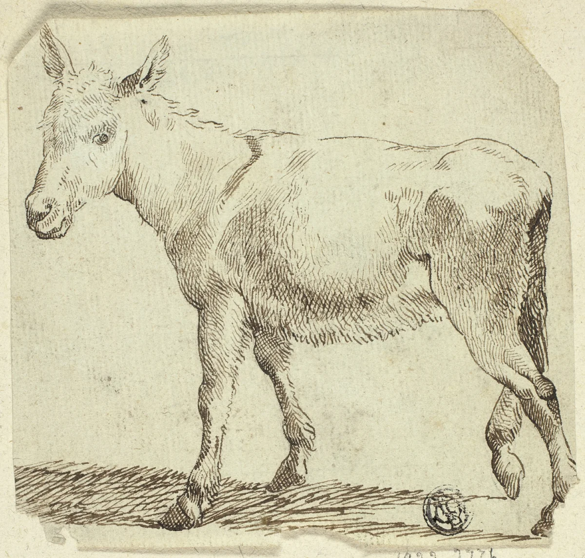 Donkey by Unknown Artist, drawing, 1800-1899