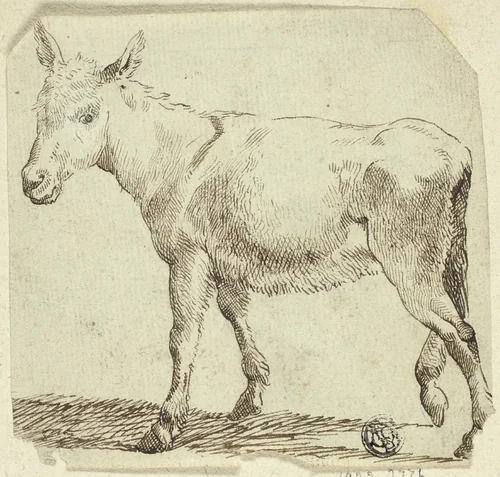 Donkey by Unknown Artist, drawing, 1800-1899