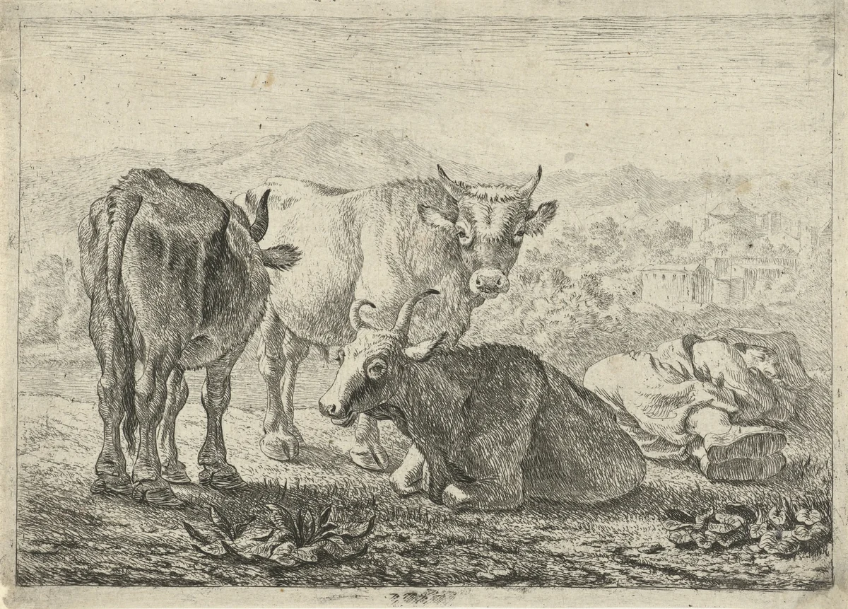 Drie runderen en een slapende herder by Pieter Bodding van Laer, print, 1636
