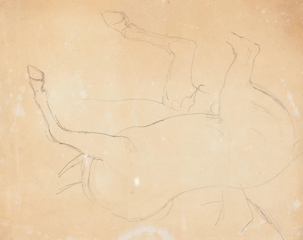 Study of a Horse [verso] by William Etty, drawing, 1807-1849