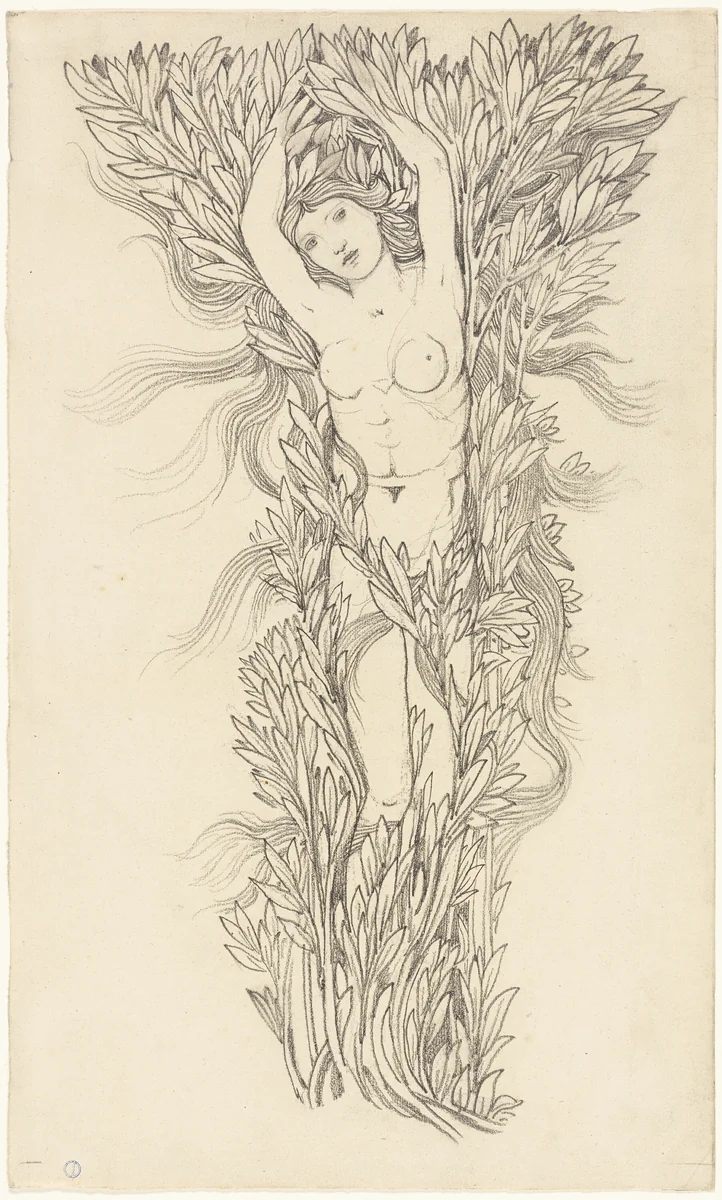 Daphne by Edward Burne-Jones, drawing, 1800-1899
