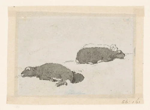 Twee schapen in tegenbelichting by David de Sandoz-Rollin, drawing, 1750-1809