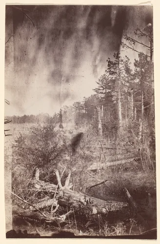 [The Wilderness Battlefield] by G. O. Brown, photograph, 1866