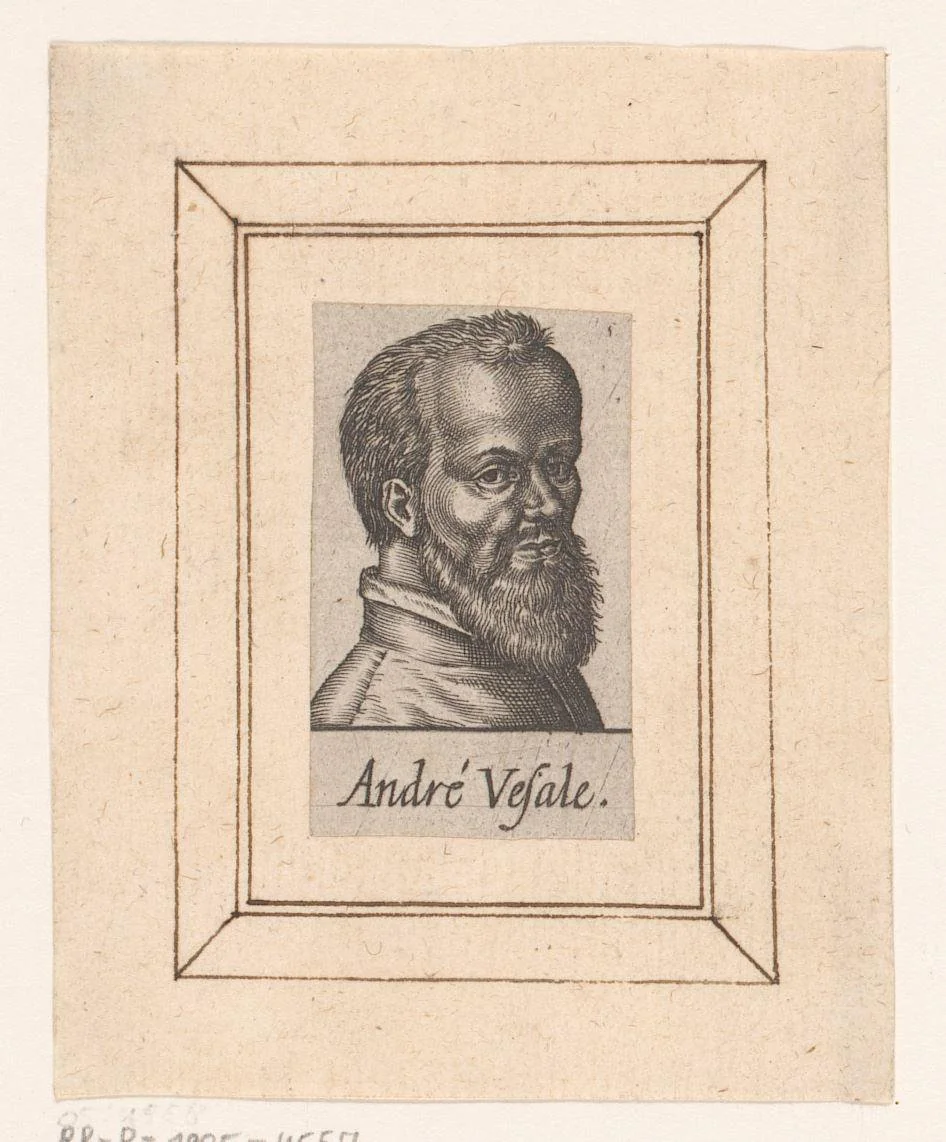 Portret van Andreas Vesalius by Unknown, print, 1571-1641